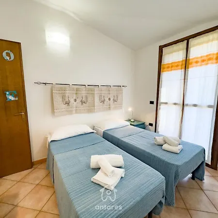 Domu Cycas Вилласимиус