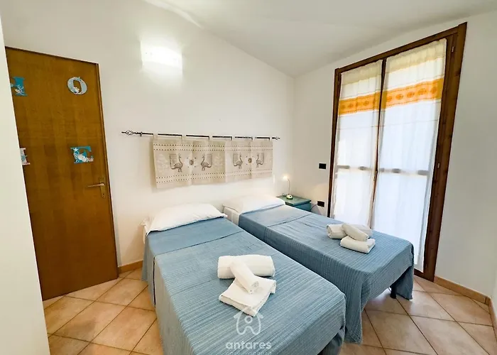 Domu Cycas Вилласимиус