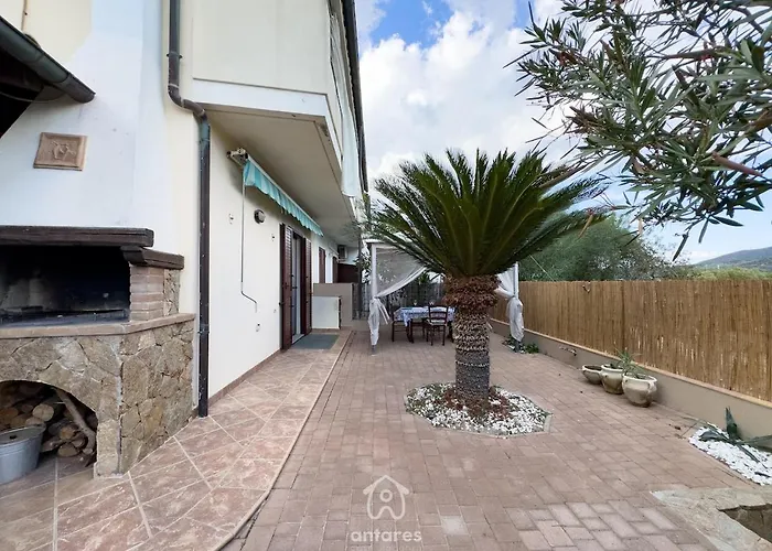 Domu Cycas Віллазімьюс