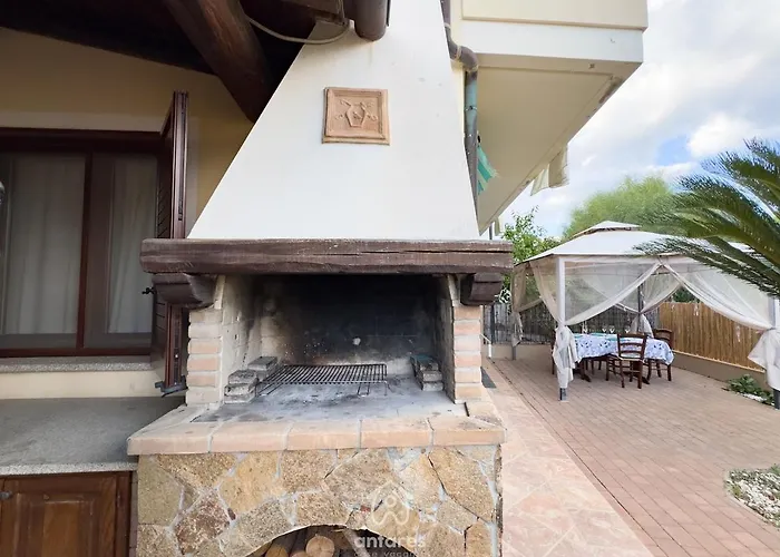 Domu Cycas Віллазімьюс