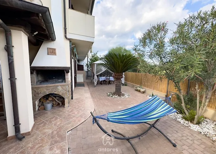 Domu Cycas Вилласимиус